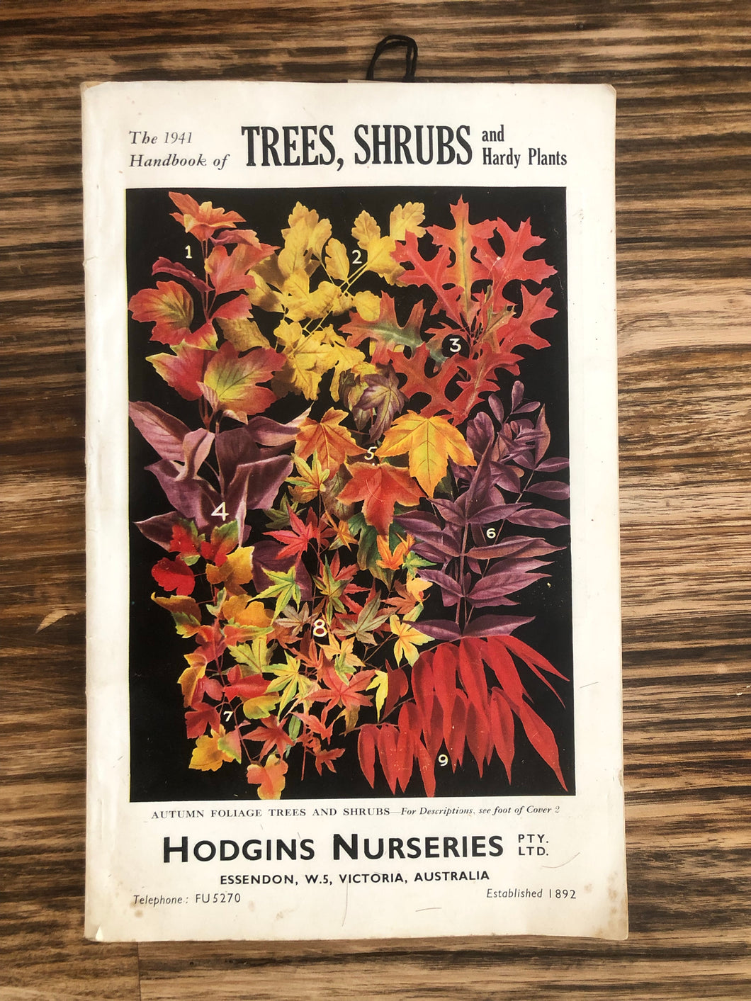 1941 Handbook Trees & Shrubs