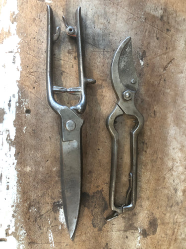 Secateur & Pruning Shear