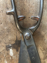Load image into Gallery viewer, Secateur &amp; Pruning Shear